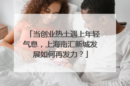 当创业热土遇上年轻气息，上海南汇新城发展如何再发力？